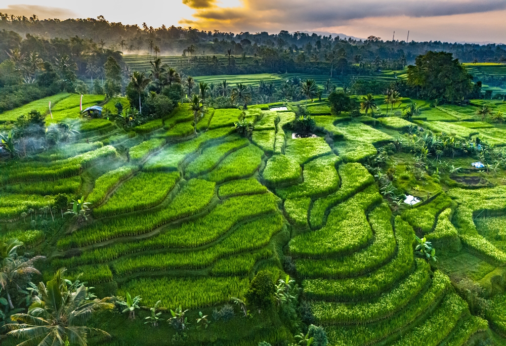 Landscape,View,Of,Jatiluwih,Rice,Terraces,In,Penebel,District,,Tabanan